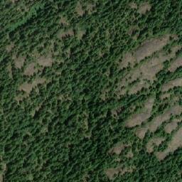 Satellite imagery of Waterloo Mountain, CA