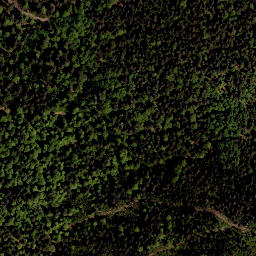 Satellite imagery of Bärenstein, AT