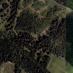 Satellite imagery of Kyselovský les [Černá v Pošumaví-Kyselov], CZ