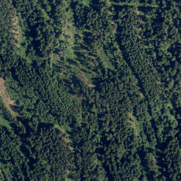 Satellite imagery of HolmBerg [Schweiggers] Jahrtausendlebensturm outlook t., AT