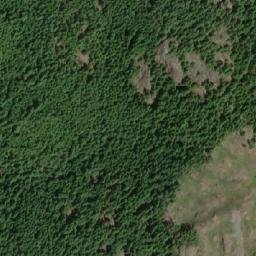 Satellite imagery of Waterloo Mountain, CA