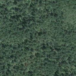 Satellite imagery of Cobble Hill, CA