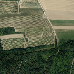 Satellite imagery of Kaltenberg, AT