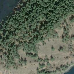 Satellite imagery of Point Disney, US