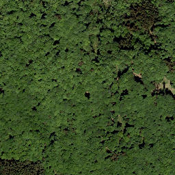 Satellite imagery of Letzeberg, DE