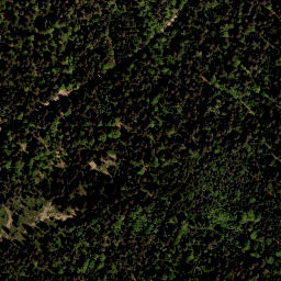 Satellite imagery of Bärenstein, AT