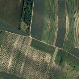 Satellite imagery of Hühnerkoppel, AT
