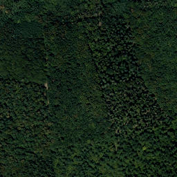 Satellite imagery of Steinberg, AT