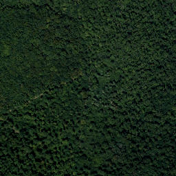 Satellite imagery of Steinberg, AT