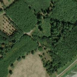 Satellite imagery of (Doubravenská louka) [Lanžhot], CZ