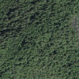 Satellite imagery of Whyac Point, CA