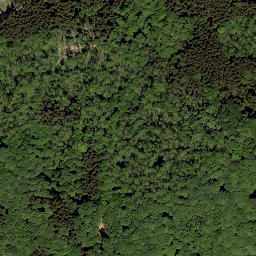 Satellite imagery of Hühnerberg, DE