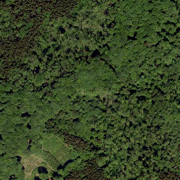 Satellite imagery of Fuchsberg, DE