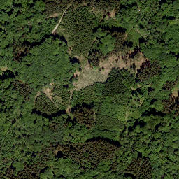 Satellite imagery of Fuchsberg, DE