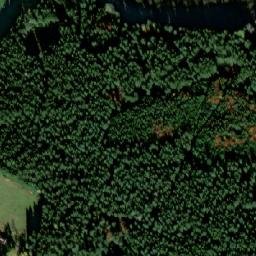 Satellite imagery of (Lojzovy Paseky) [Frymburk], CZ