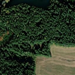 Satellite imagery of (Lojzovy Paseky) [Frymburk], CZ