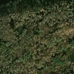 Satellite imagery of Schneckenberg, DE