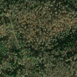 Satellite imagery of Schneckenberg, DE