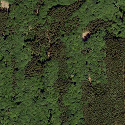 Satellite imagery of Hühnerberg, DE