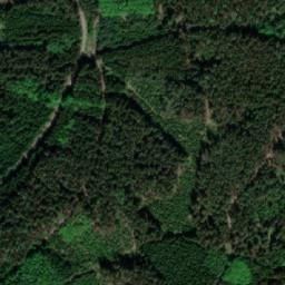 Satellite imagery of Žibřidovský vrch [Dolní Dvořiště - Horní Kaliště], CZ
