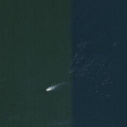 Satellite imagery of Sidney Spit, CA