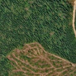 Satellite imagery of Antice Point, US