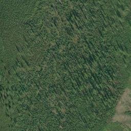 Satellite imagery of Camas Ridge, US