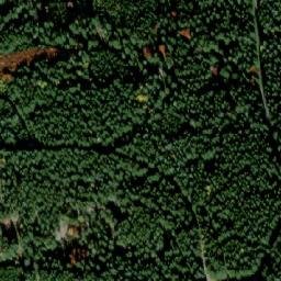 Satellite imagery of Kramolín-Stezka kor.stromů [Lipno nad Vltavou] outlook t., CZ