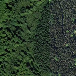 Satellite imagery of Stříbrný vrch [Pohorská Ves-Pivonice], CZ