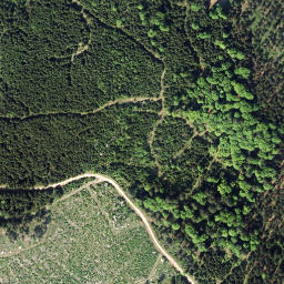 Satellite imagery of Bärenstein [St. Martin], AT