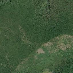 Satellite imagery of Camas Ridge, US