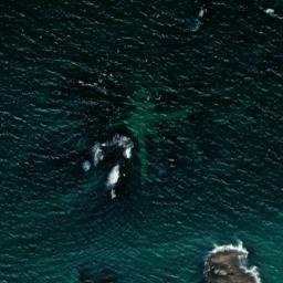 Satellite imagery of Pointe de la Mare aux Rêts, FR