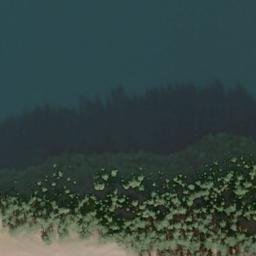 Satellite imagery of Spieden Bluff, US
