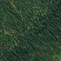 Satellite imagery of Antice Point, US