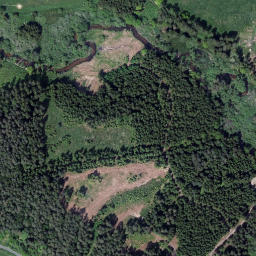 Satellite imagery of (Bušteler) [Dolní Dvořiště], CZ
