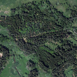 Satellite imagery of (Bušteler) [Dolní Dvořiště], CZ
