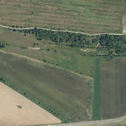 Satellite imagery of survey_point, CZ