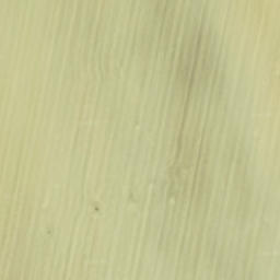 Satellite imagery of J5-511, SK