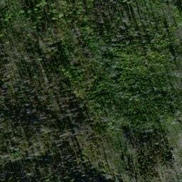 Satellite imagery of Clark Ridge, US