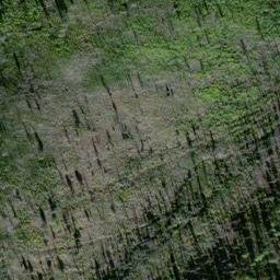 Satellite imagery of Clark Ridge, US