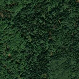 Satellite imagery of Renfting, DE