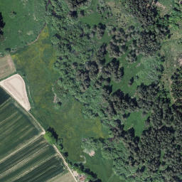 Satellite imagery of (Bušteler) [Dolní Dvořiště], CZ