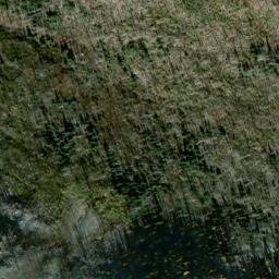 Satellite imagery of Bernhardt Mine, US