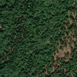 Satellite imagery of Renfting, DE