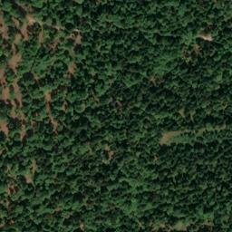 Satellite imagery of Renfting, DE