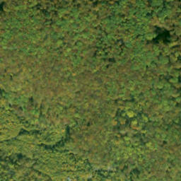 Satellite imagery of Žľab, SK