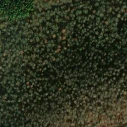 Satellite imagery of Greut, DE