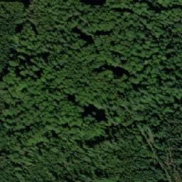Satellite imagery of Myslivna, CZ