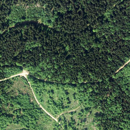 Satellite imagery of Wolfsberg [Bad Großpertholz], AT