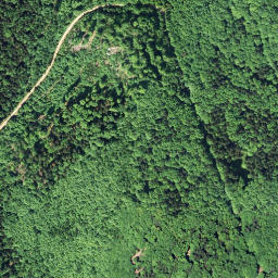 Satellite imagery of Wolfsberg [Bad Großpertholz], AT